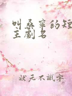 叫桑宁的短剧女主剧名