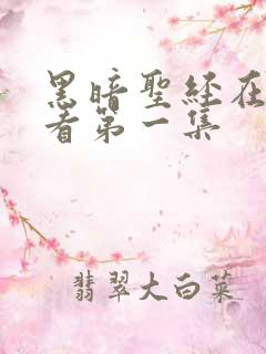 黑暗圣经在线观看第一集