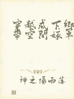 穿越成下乡知青带空间嫁军人