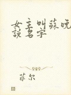 女主叫苏晚的小说名字