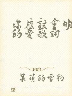 你应该会明白我的爱歌词