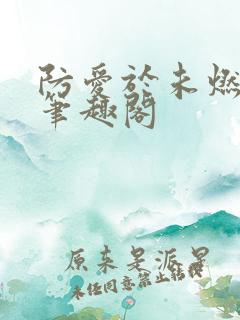 防爱于未燃小说笔趣阁