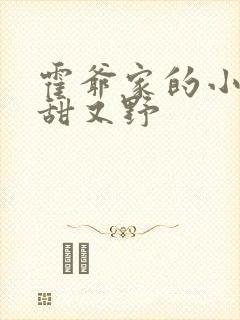 霍爷家的小祖宗甜又野