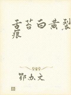 舌苔白黄裂纹齿痕