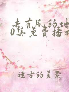 去有风的地方40集免费播放电视剧