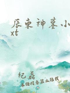 辰东神墓小说txt