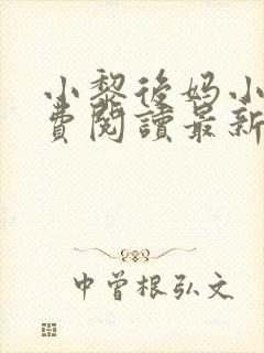 小黎后妈小说免费阅读最新章节更新