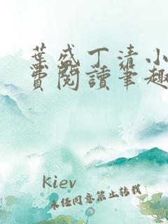 叶盛丁清小说免费阅读笔趣阁