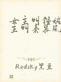 女主叫钟婉婉男主叫秦慕风的小说