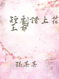 短剧错上花轿嫁王爷