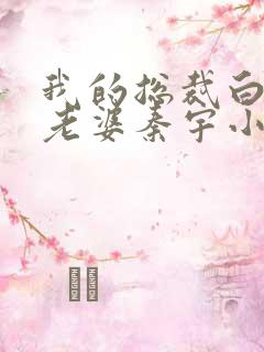 我的总裁白富美老婆秦宇小说目录