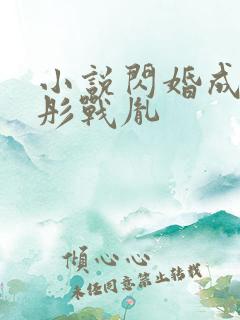 小说闪婚成宠海彤战胤