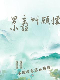 男主叫顾怀瑾的小说