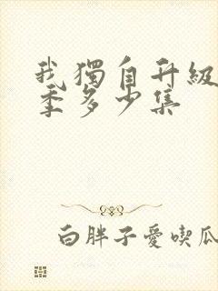 我独自升级第二季多少集