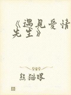 《遇见爱情的利先生》