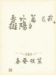 番外篇《我叫周挺阳》