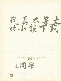 我真不是大佬txt小说下载