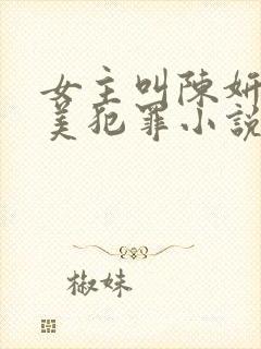 女主叫陈妍的完美犯罪小说