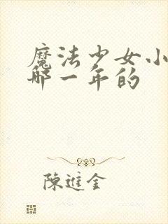 魔法少女小圆是哪一年的