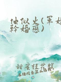 他似火(军婚高干婚恋)