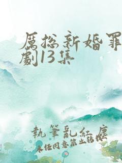 厉总新婚罪妻短剧13集