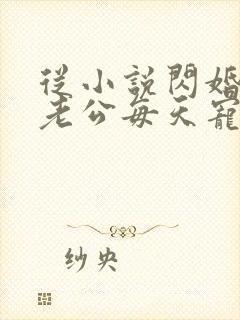 从小说闪婚后,老公每天宠上天小说