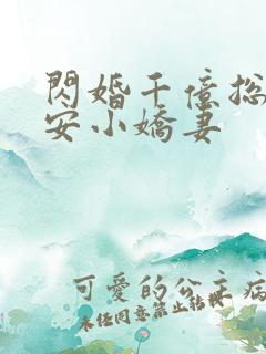 闪婚千亿总裁吻安小娇妻