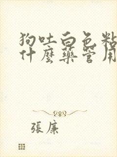 狗吐白色粘液吃什么药管用小狗