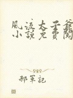 风流太子爷在线小说免费阅读