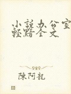 小说办公室隐婚轻黯全文