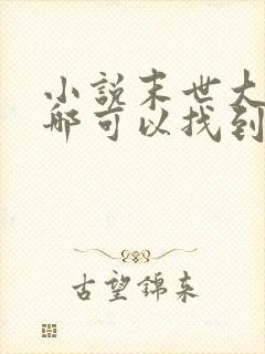 小说末世大回炉哪可以找到