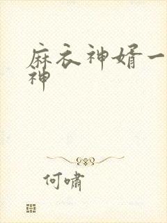 麻衣神婿一举成神