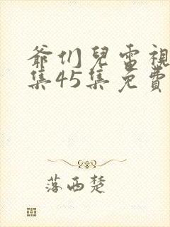 爷们儿电视剧全集45集免费观看