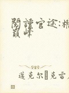 阅读官途:权力巅峰