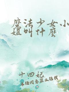 魔法少女小圆学姐叫什么