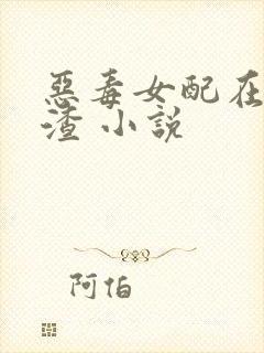 恶毒女配在线虐渣 小说