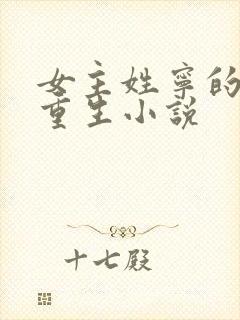 女主姓宁的古代重生小说