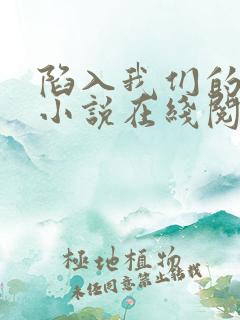 陷入我们的热恋小说在线阅读免费