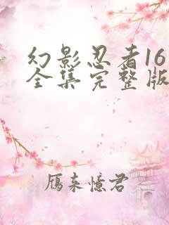 幻影忍者16季全集完整版