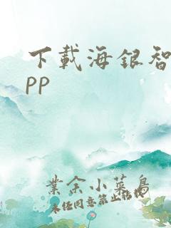 下载海银智联app