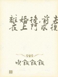 离婚后,前夫连夜上门求复婚小说完整