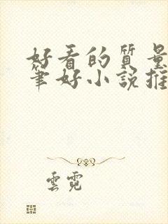 好看的质量高文笔好小说推荐