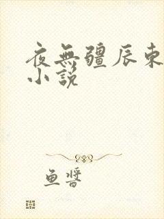 夜无疆辰东有声小说