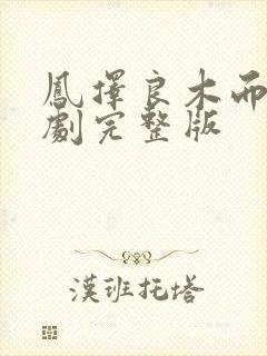 凤择良木而栖短剧完整版