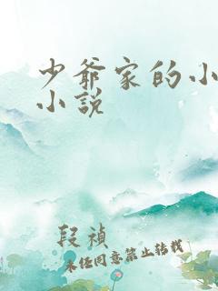 少爷家的小女仆小说