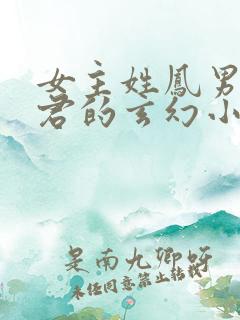 女主姓凤男主姓君的玄幻小说