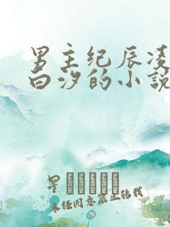 男主纪辰凌女主白汐的小说