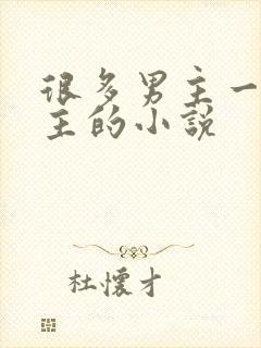 很多男主一个女主的小说