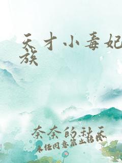 天才小毒妃七贵族