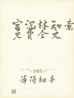 宫沉林知意小说免费全文